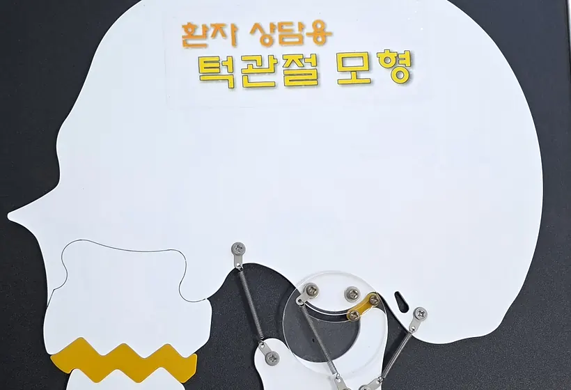 녹색치과의원 환자 상담용 턱관절 모형